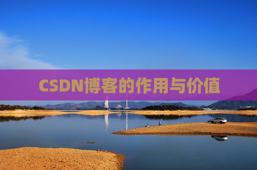 CSDN博客的作用与价值